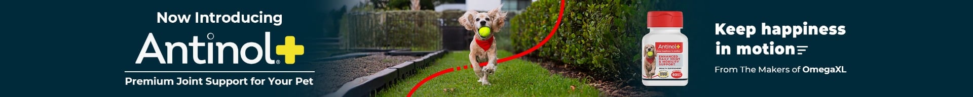 Now Introducing Antinol Plus, Premium joint support for your pet. Keep happiness in motion, From the makers of OmegaXL
