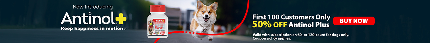 Now Introducing Antinol Plus, Premium joint support for your pet. Keep happiness in motion, From the makers of OmegaXL