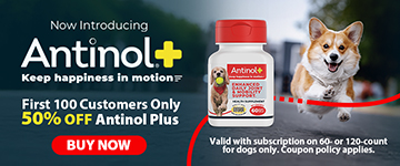 Now Introducing Antinol Plus, Premium joint support for your pet. Keep happiness in motion, From the makers of OmegaXL