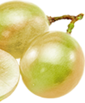 Fruits