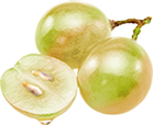 Fruit