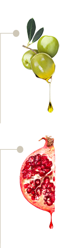 Fruit